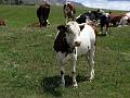 2006-07 Serre-Chevalier 068